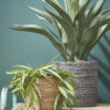 Naturel bruin rotan planten/bloemen pot mand van gedraaid jute/riet/zeegras H12 en D12 cm - Met plastic binnenkant