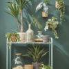 Naturel bruin rotan planten/bloemen pot mand van gedraaid jute/riet/zeegras H12 en D12 cm - Met plastic binnenkant