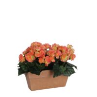 Mica Decorations Begonia Kunstplant in Balkonbak Slate - L29 x B13 x H25 cm - Zalmroze