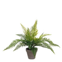 Varen kunstplant/kamerplant groen H40 cm x D36 cm - Kunstplanten/nepplanten
