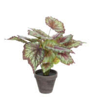 Mica Decorations Begonia Kunstplant in Bloempot Stan - H40 x 38 cm - Rood