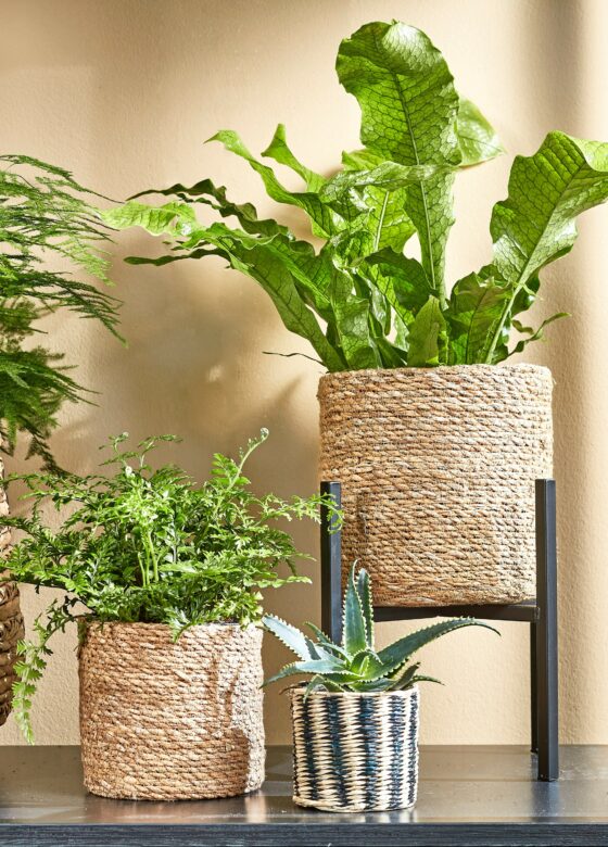 Naturel bruin rotan planten/bloemen pot mand van gedraaid jute/riet/zeegras H14 en D14 cm - Met plastic binnenkant