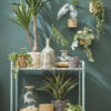 Mica Decorations Atlantic Mand voor Planten - H18 x 18 cm - Zeegras - Lichtbruin