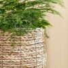 Mica Decorations Avalon Mand voor Planten - H21 x 18 cm - Zeegras - Lichtbruin