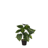 Mica Decoration kunstplant Philodendron - groen - H40 en D35 cm - Kamer/Kantoor planten