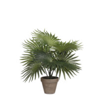 Mica Decorations Palm Kunstplant in Bloempot Stan - H40 x 35 cm - Groen
